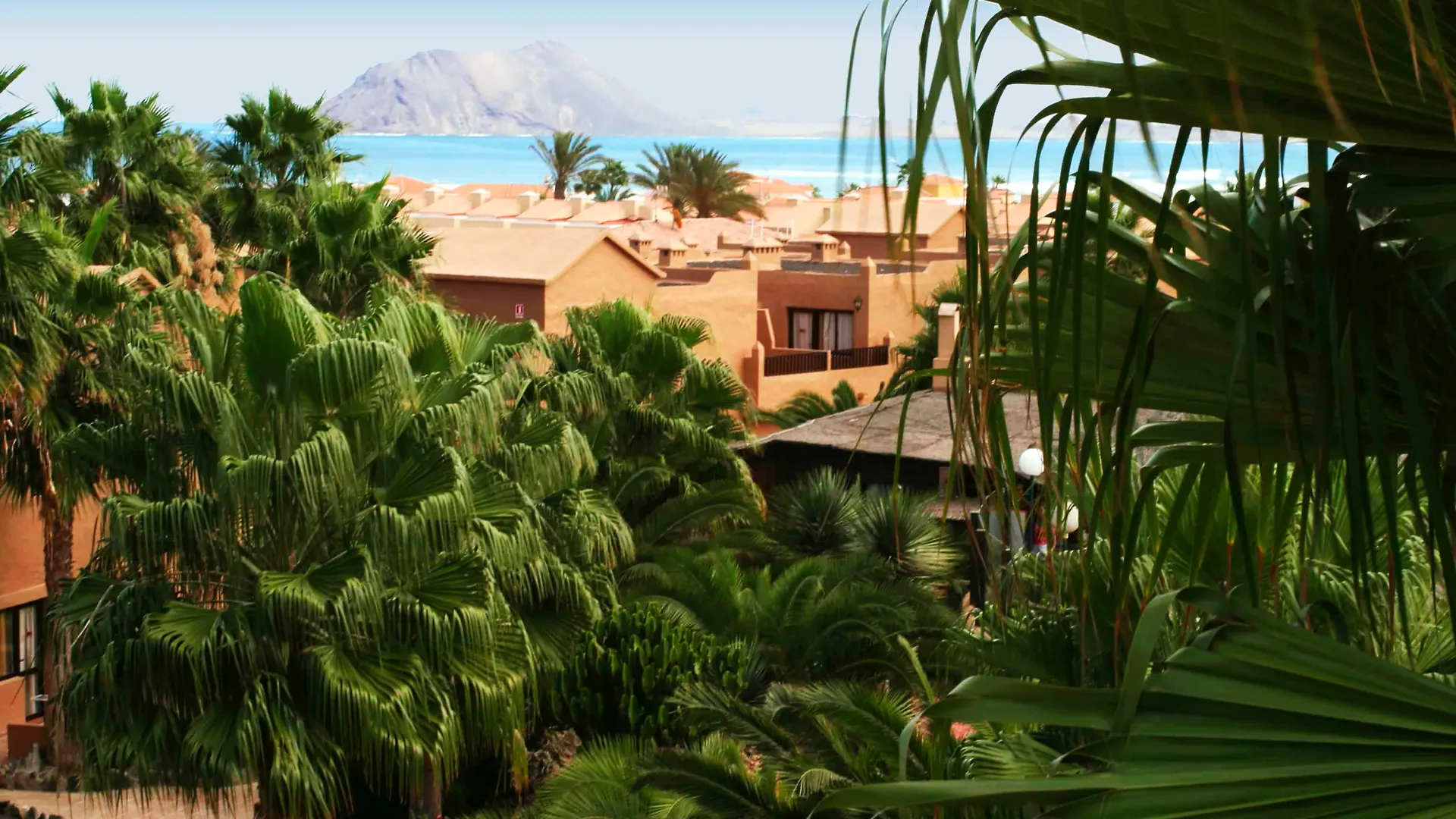 Apartamento Oasis Dunas Corralejo